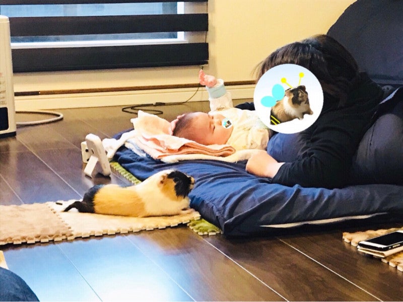 広告