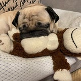 Dvukobfo5n0cwm Dvukobfo5n0cwm