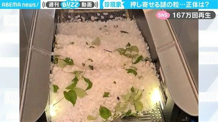 エスカレーターに続々と押し寄せる怪現象の正体は