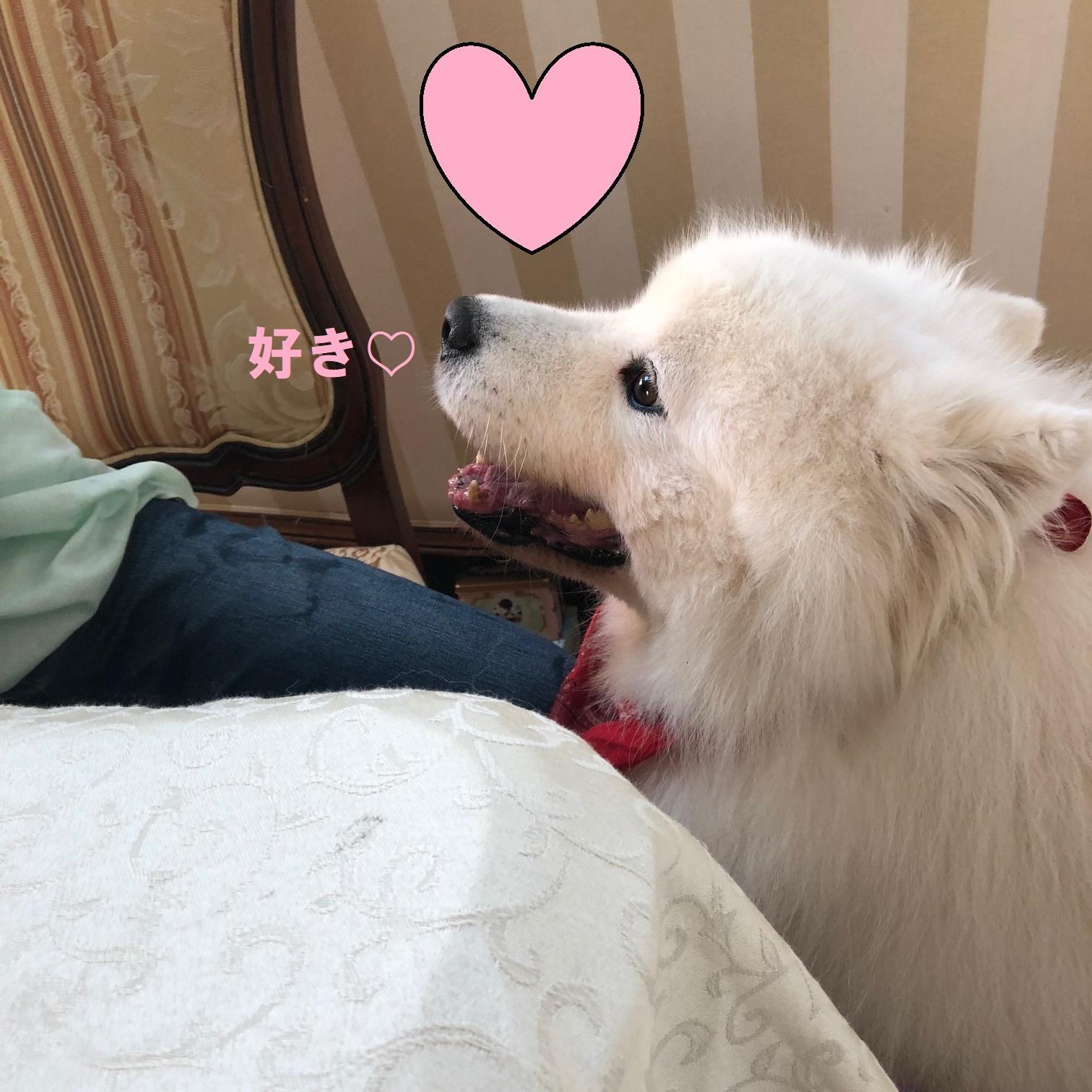 広告