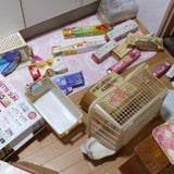 許せない人 Donaのブログ 許せない人 Donaのブログ