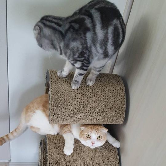 谷花音 新しいクラス「楽しみ」