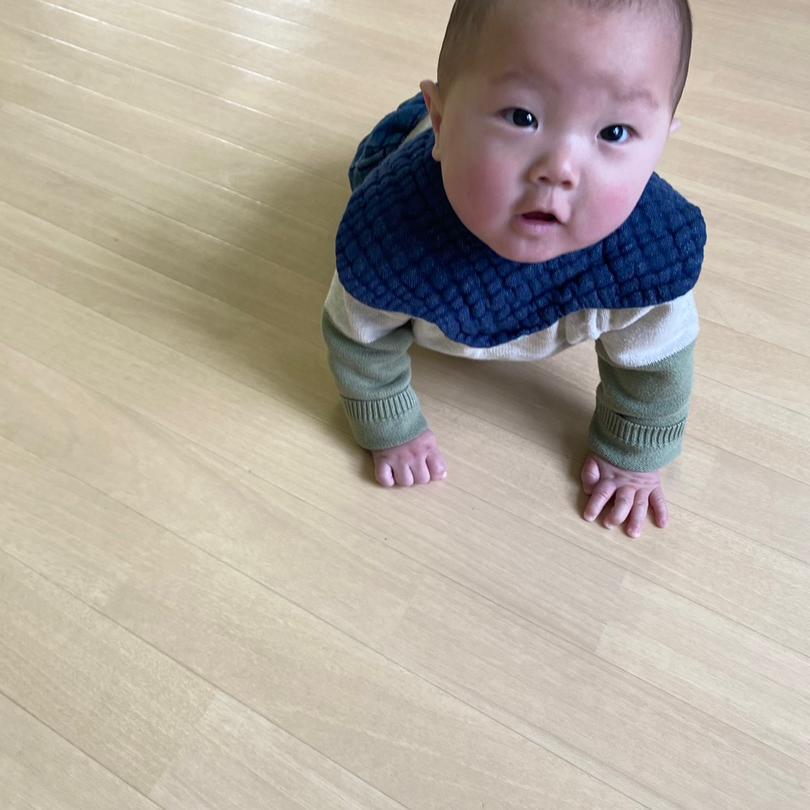 エハラの妻 家事進まない後追いの画像