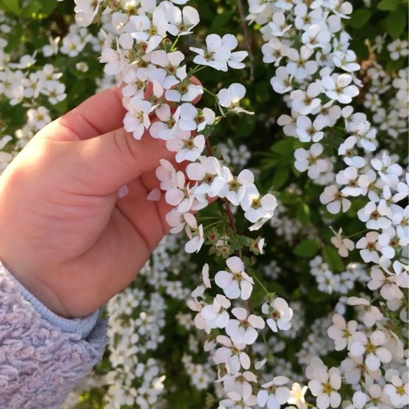 山田純大 海老蔵宅で特製カレー