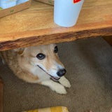 Dntsl0xbdb6hvm Dntsl0xbdb6hvm