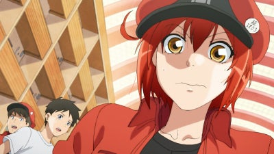 東大生500人が選ぶ「勉強になるアニメ」第1位『はたらく細胞』