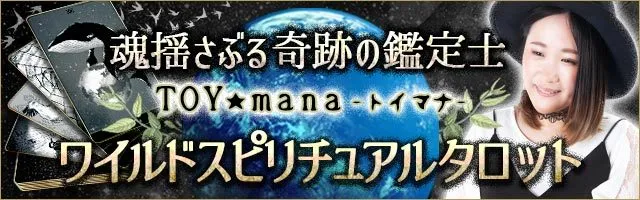 魂揺さぶる奇跡の鑑定士toy Mana ワイルドスピリチュアルタロット Ameba占い館satori