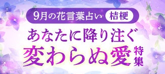 9月の花言葉特集