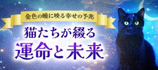 2月22日は猫の日特集