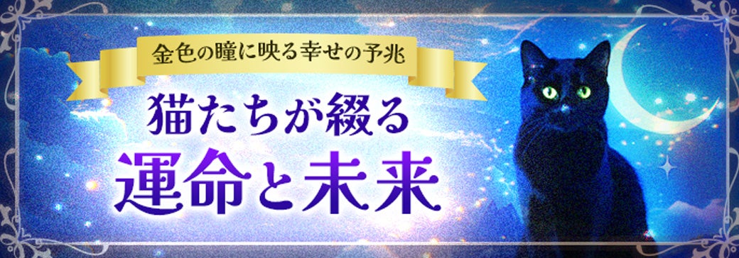 2月22日は猫の日特集